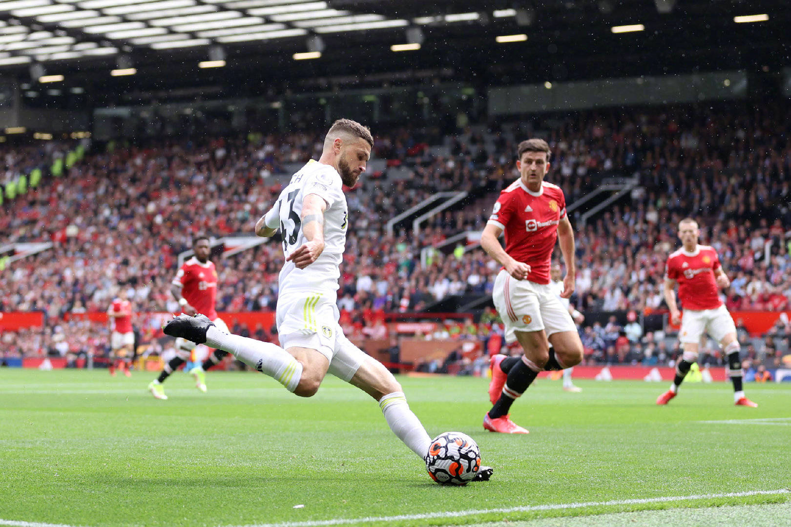 中国新秀杨 中国新秀杨